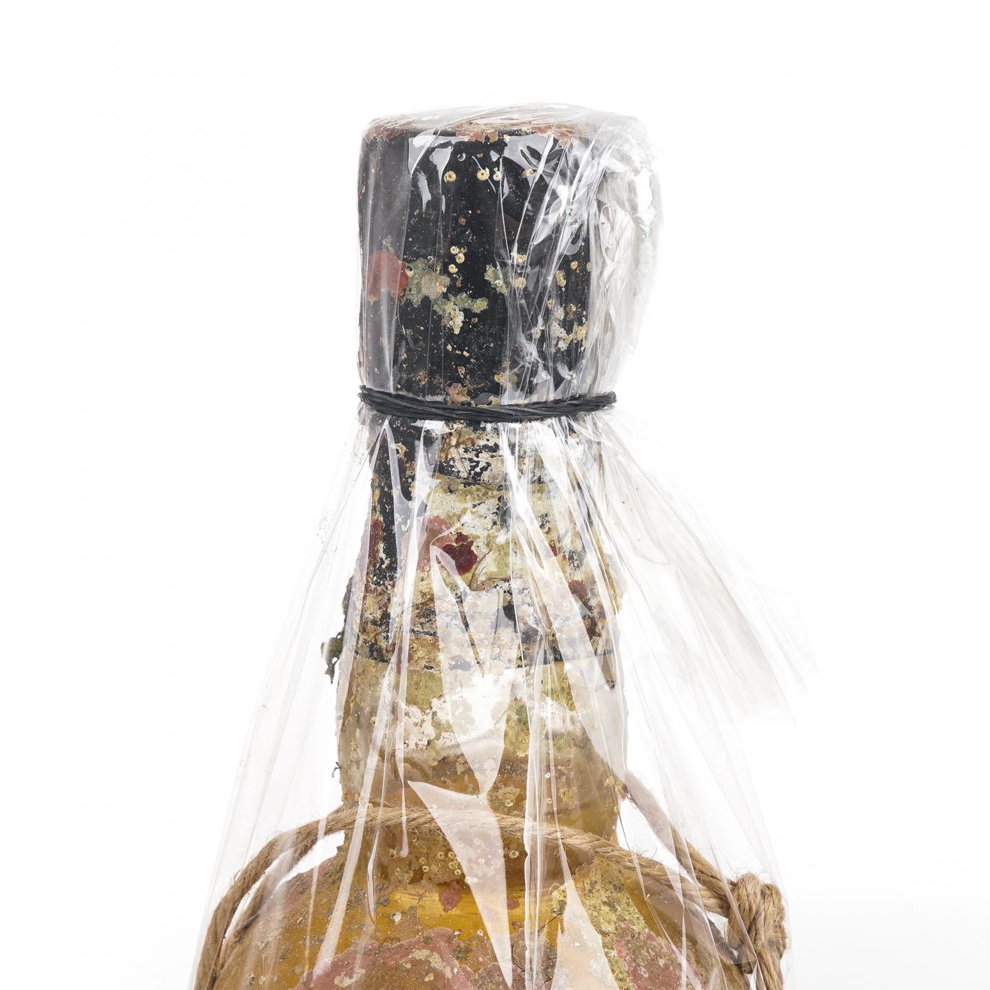 秩父x下田 海中熟成酒 2025