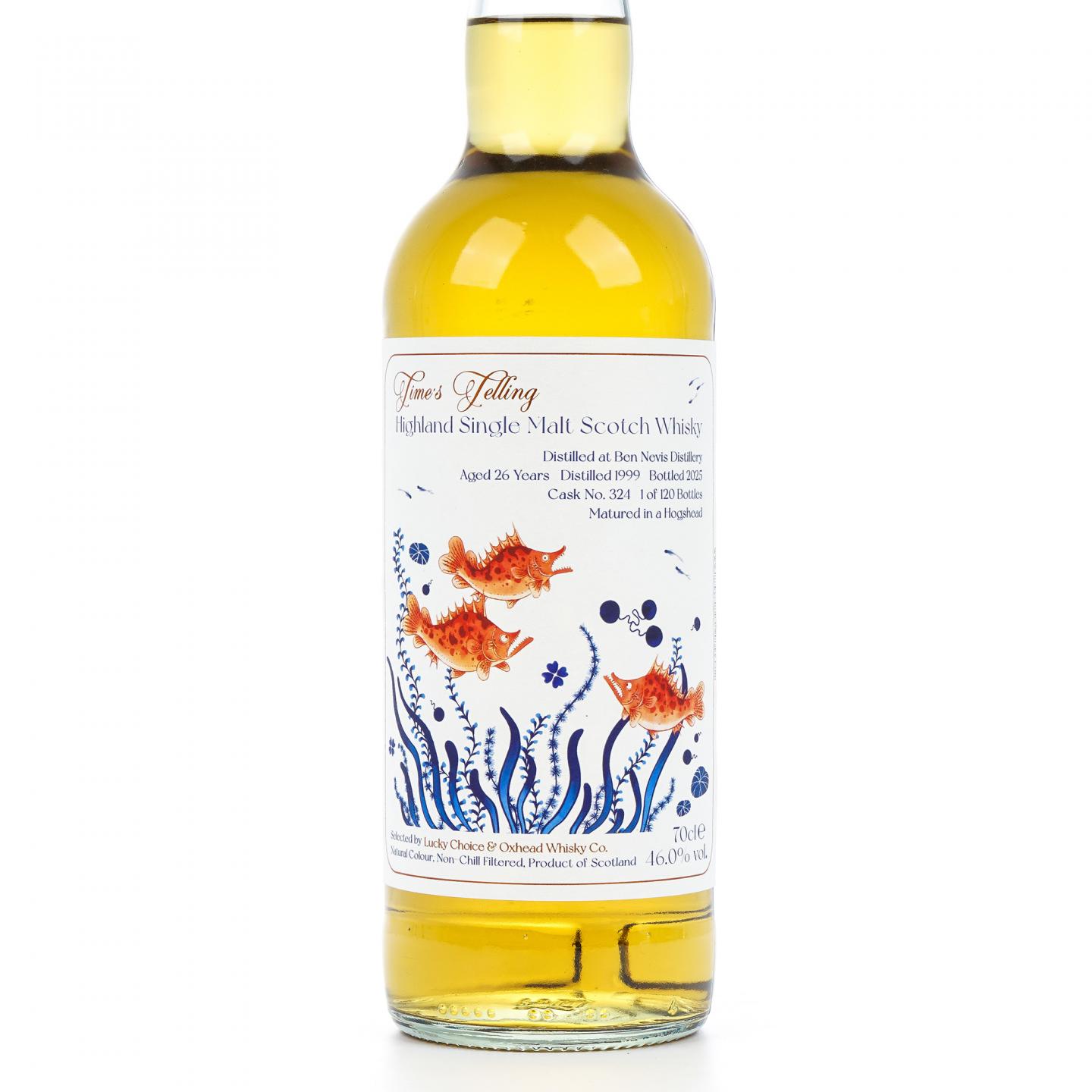 本尼维斯 26年 1999-2025