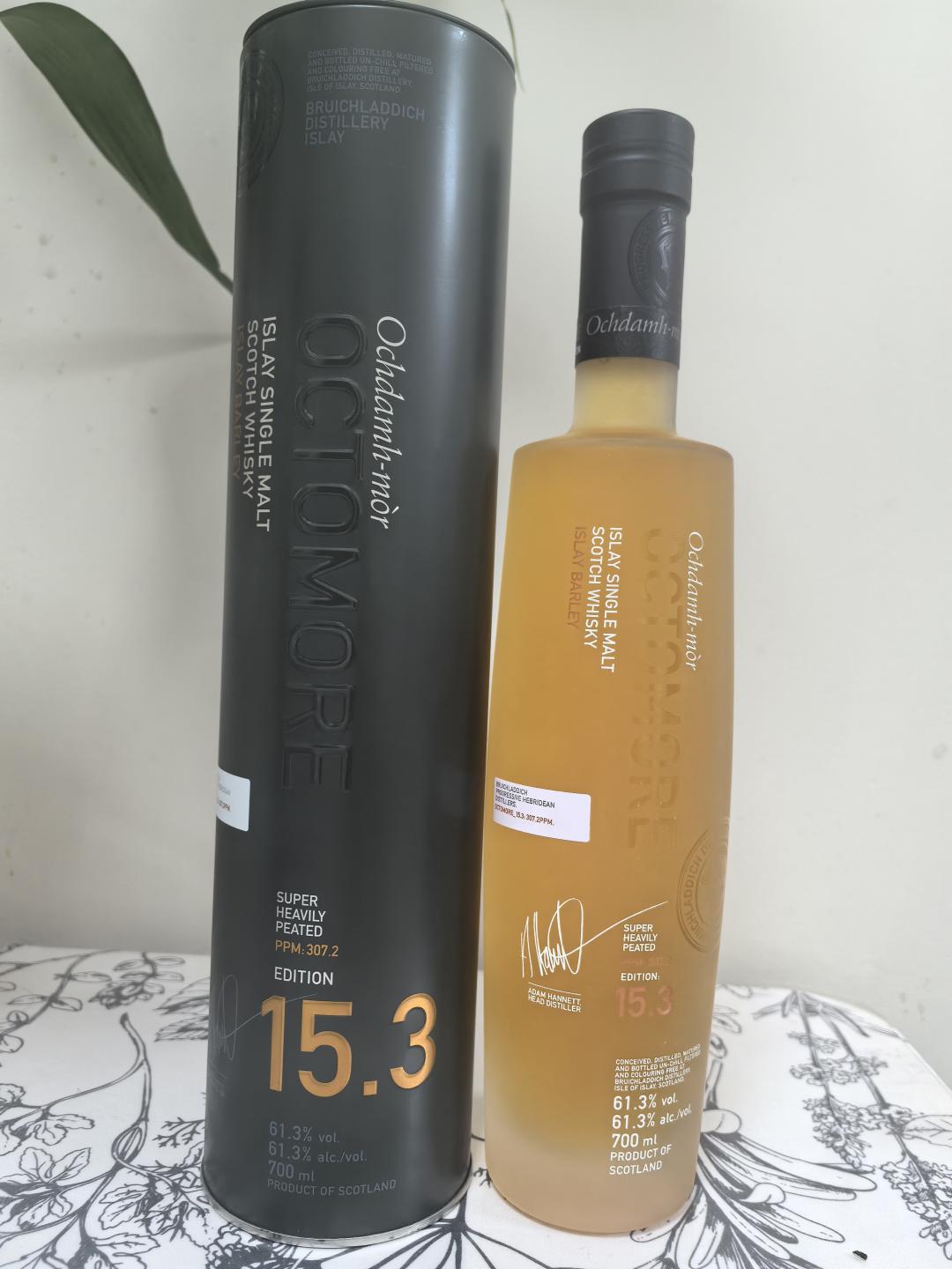 布赫拉迪泥煤怪兽15.3