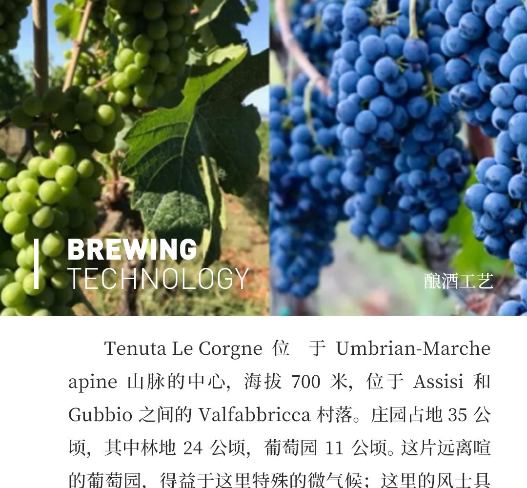 【艺术家系列】Fendi 芬迪家族酒庄翁布里亚黑皮诺干红葡萄酒