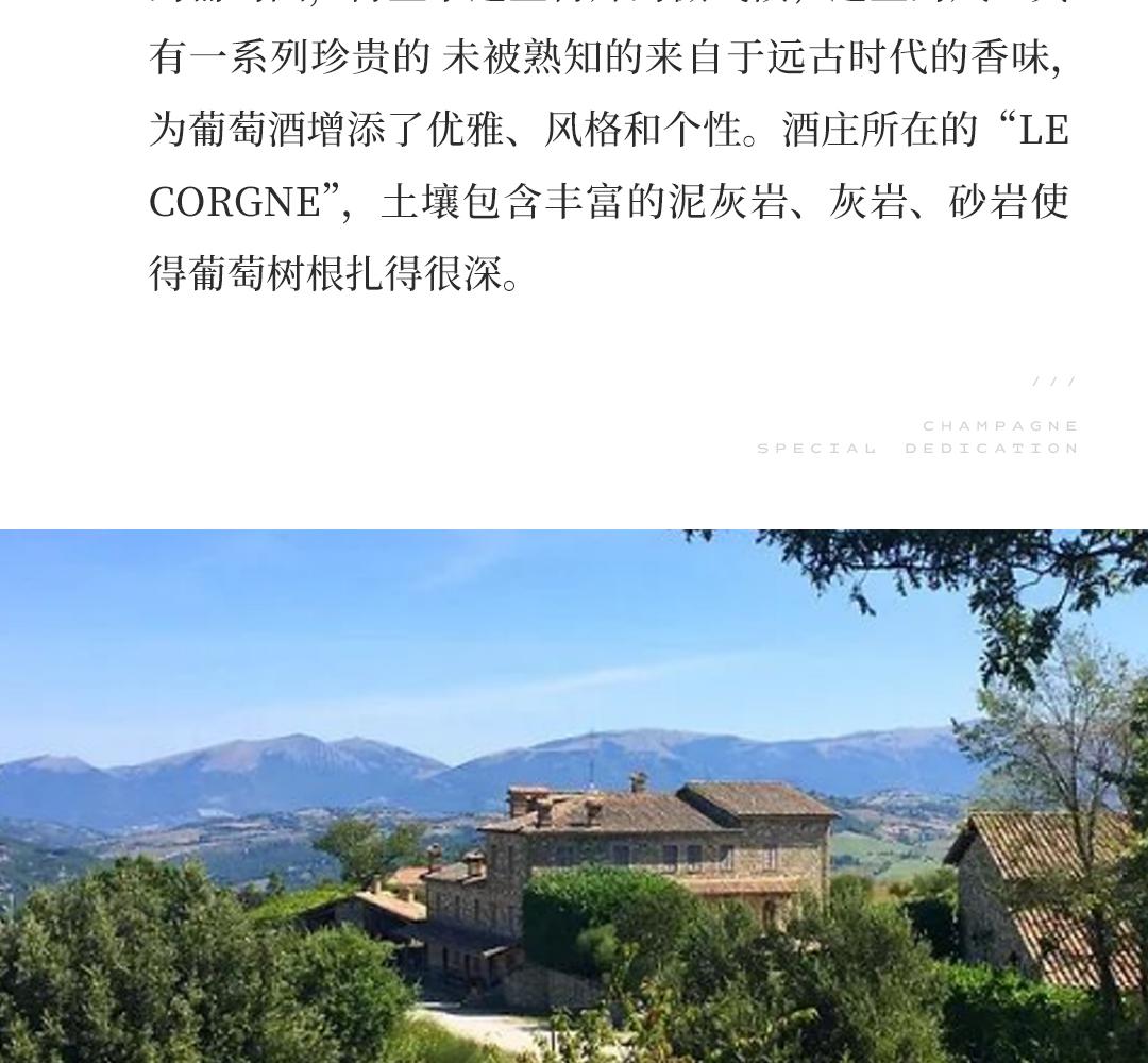 【艺术家系列】Fendi 芬迪家族酒庄翁布里亚黑皮诺干红葡萄酒
