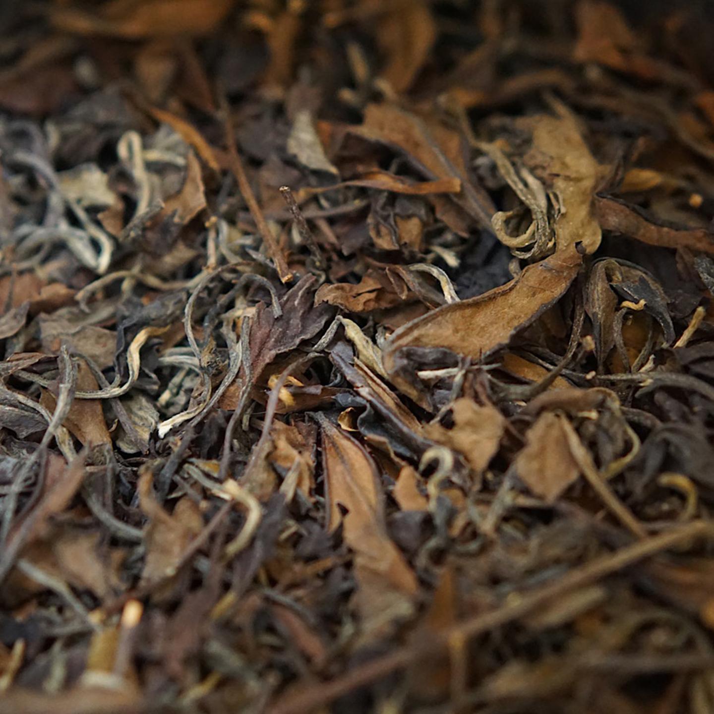 1997年 高建发寿眉茶(散茶) 约500克 干仓