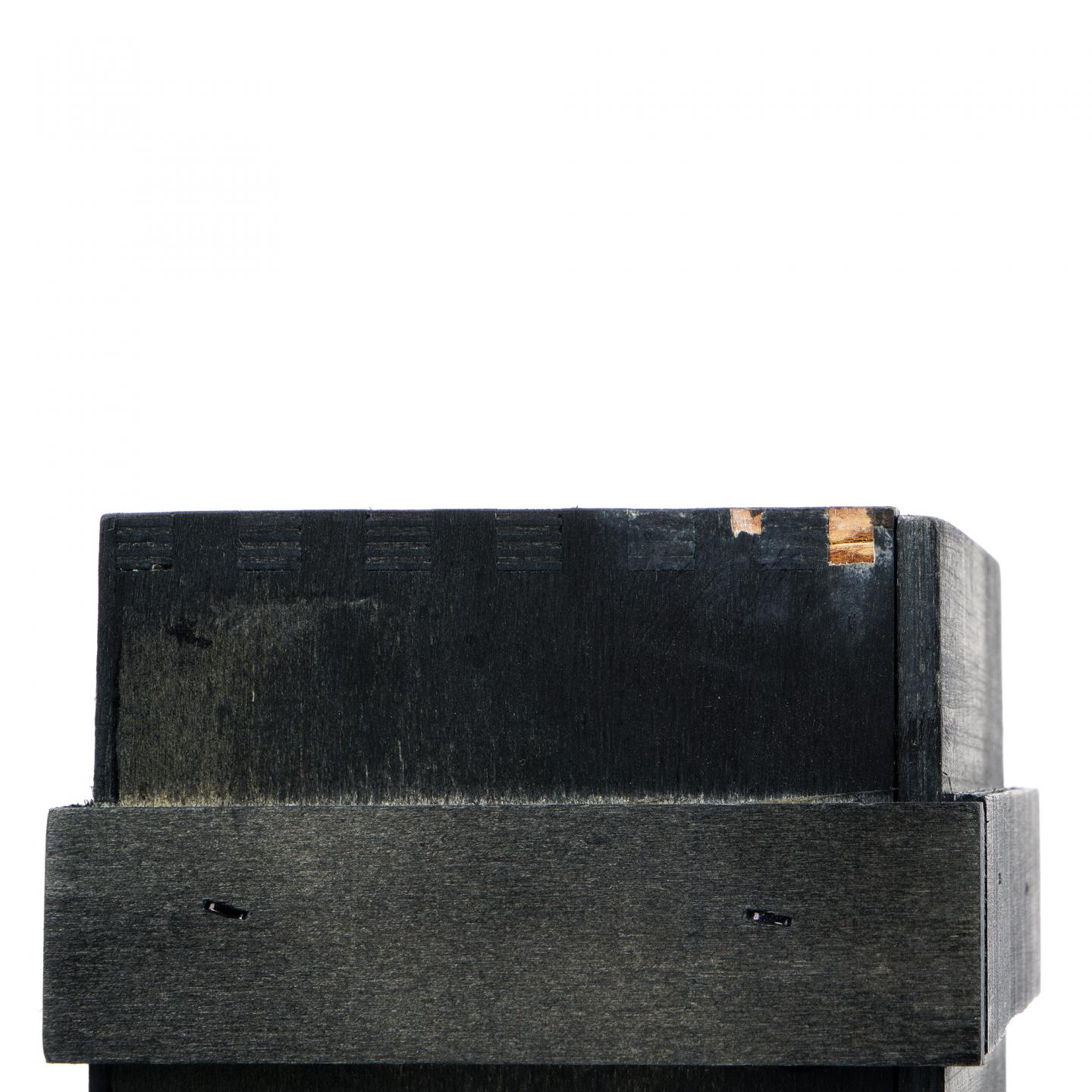 波特艾伦 28年 1982-2011 WM 2011MMA金牌