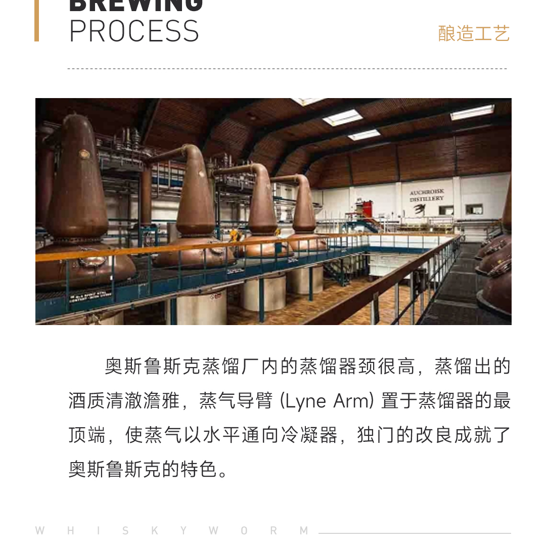 【水果蛋糕上的火焰】Auchroisk 奥斯鲁斯克 14年 2008单桶 95.74 单一麦芽威士忌