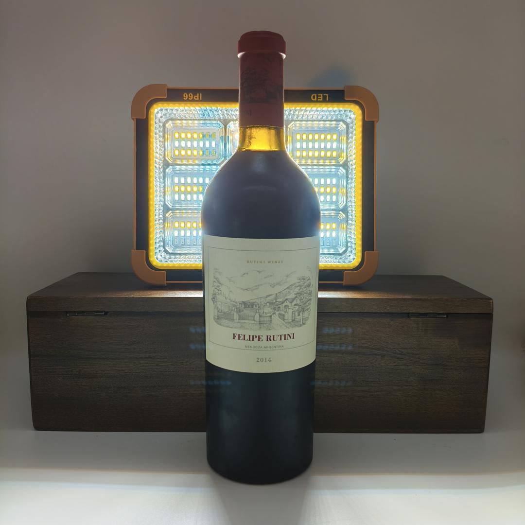 【阿根廷酒王旗舰款】露迪尼酒庄干红葡萄酒2014年份 可媲美波尔多五大名庄