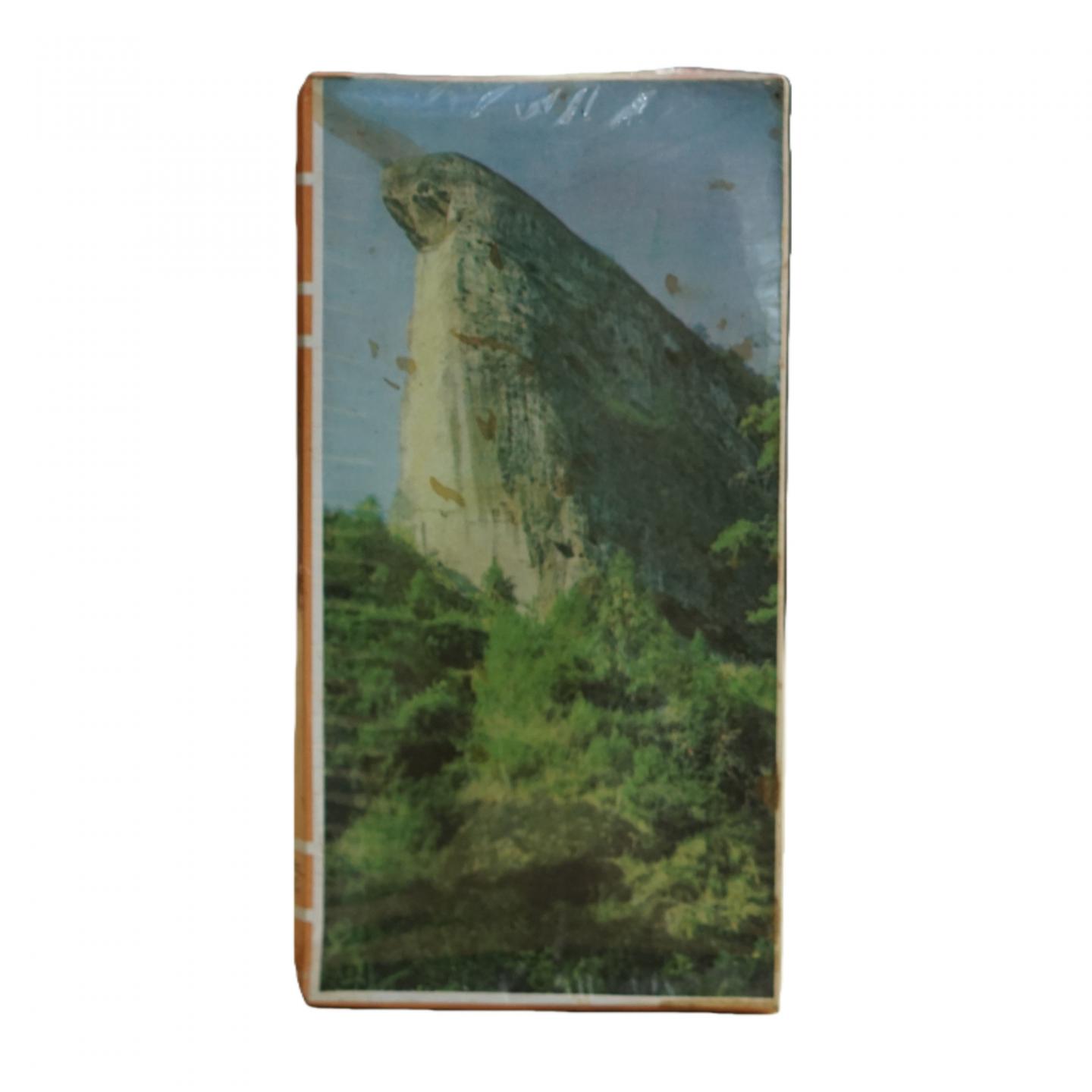 1990年代 武夷山茶叶总厂出品 乌龙茶 一盒*100g 干仓