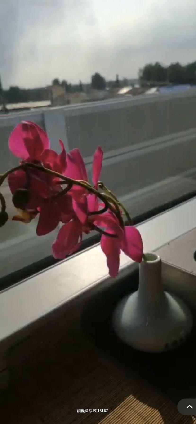 一盏清茶酬午日，半窗幽叶伴清欢。
