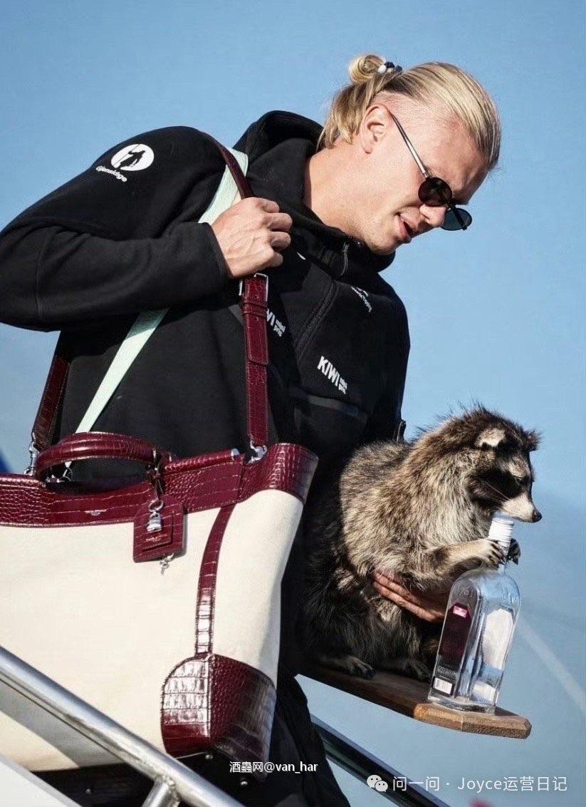 回家喽🦝