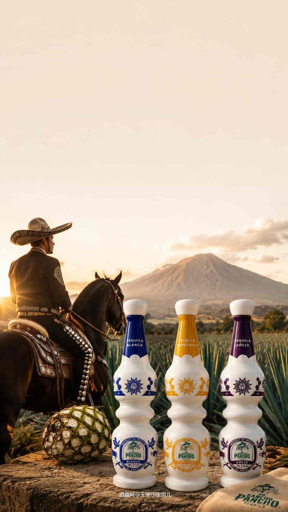 龙舌兰Blanco 比 Reposado更烈的原因