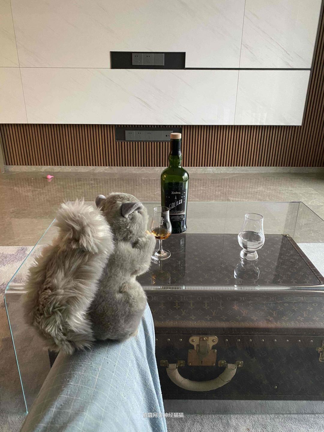 陪我喝酒的松鼠
