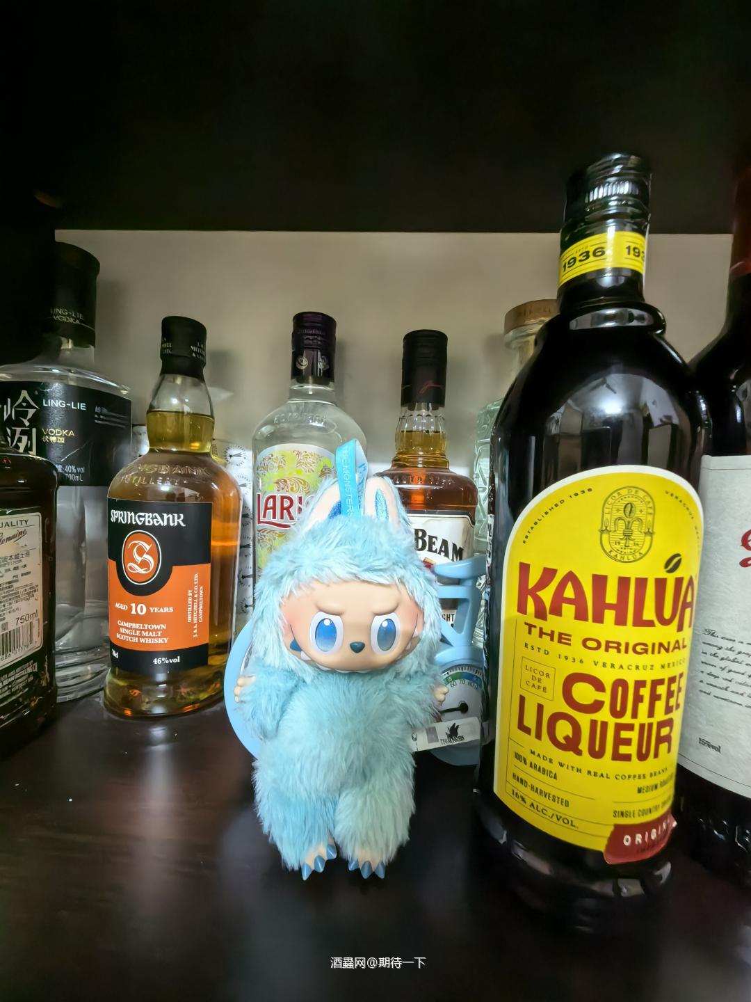 世界杯的礼物收到啦!