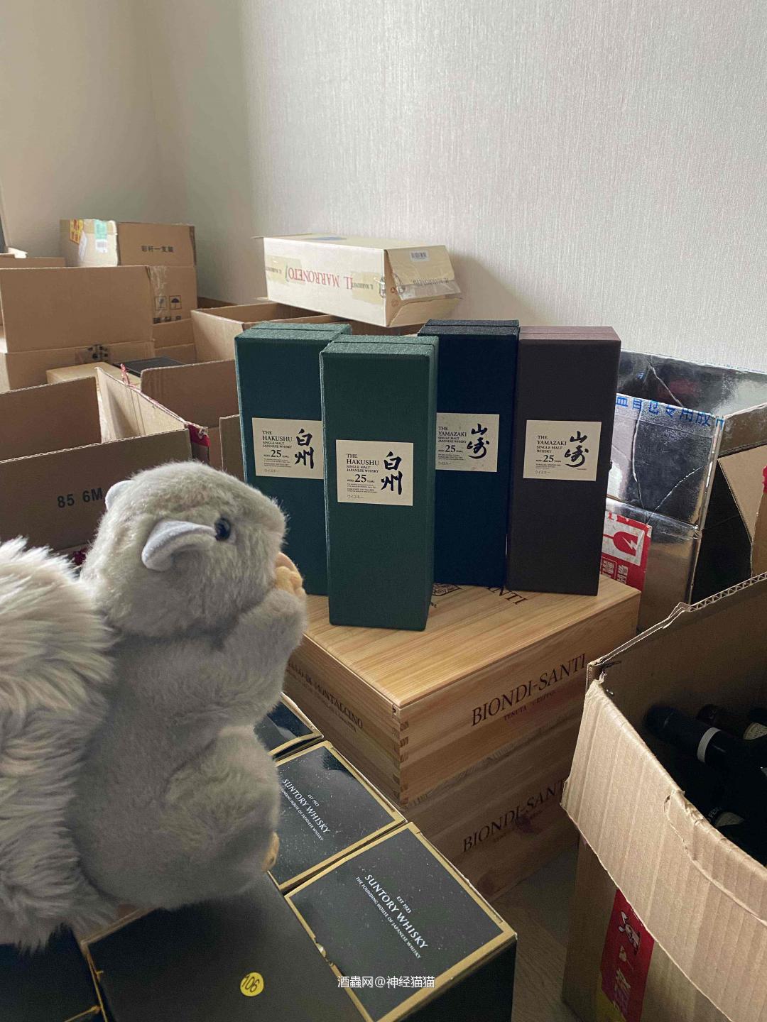 没有松鼠看着，我早就把家里的酒喝光了