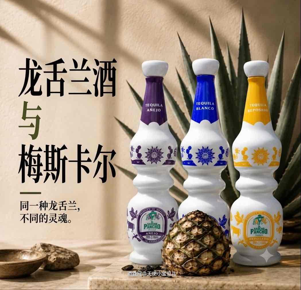 秒懂龙舌兰 vs 梅斯卡尔：风味大不同❗️
