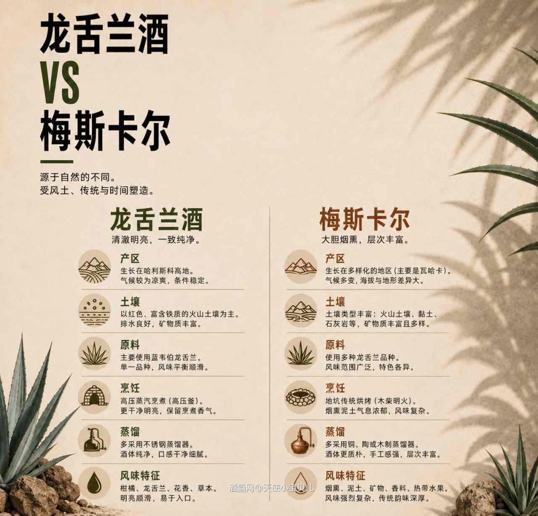 秒懂龙舌兰 vs 梅斯卡尔:风味大不同❗️