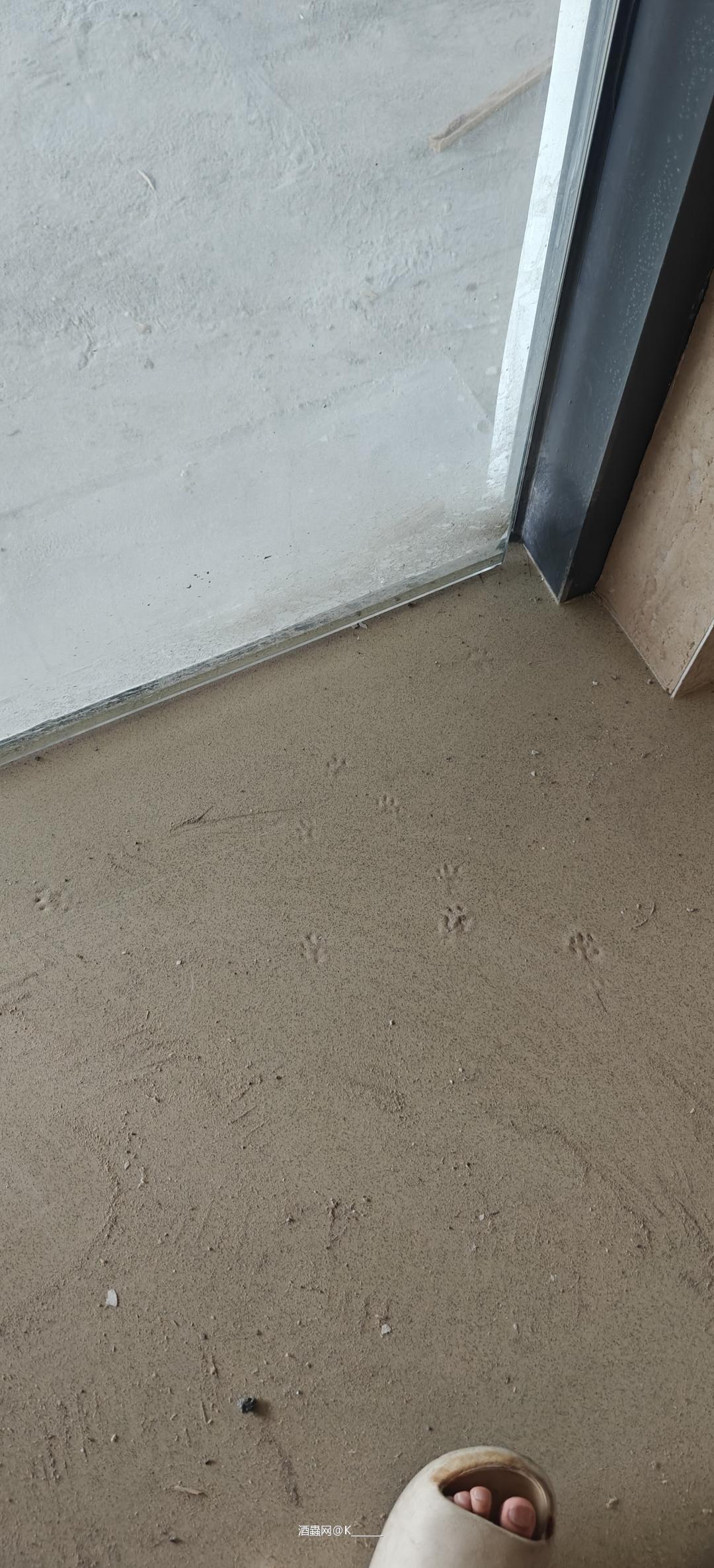 我的酒厂地板被小狗踩了