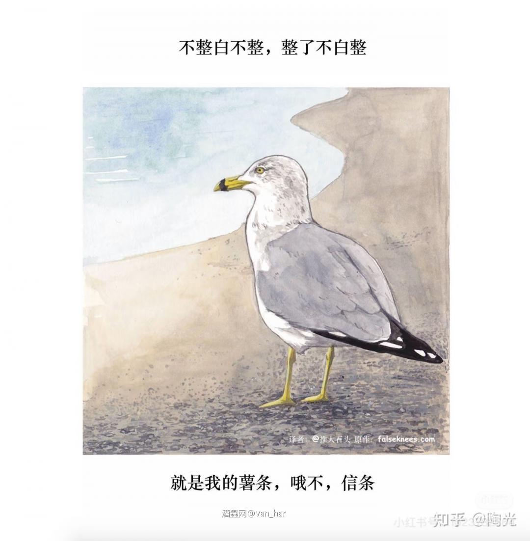 去⛵️整点🍟