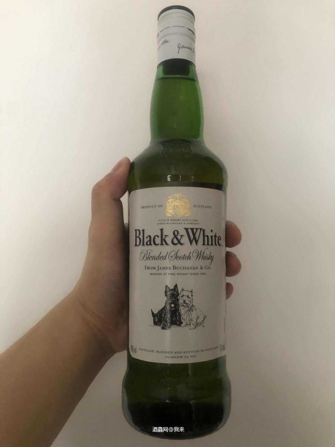 黑白狗
