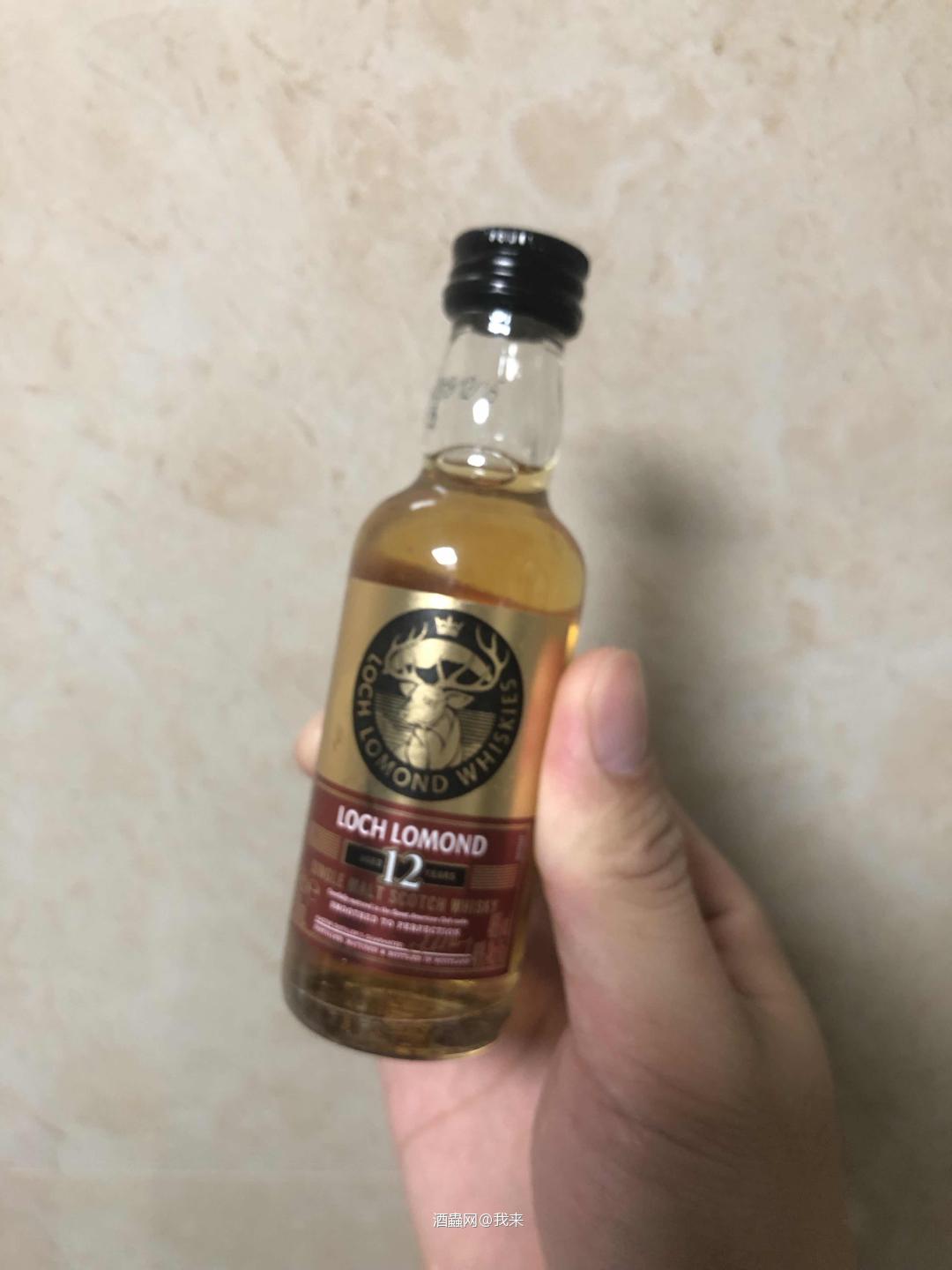 可爱的小酒版